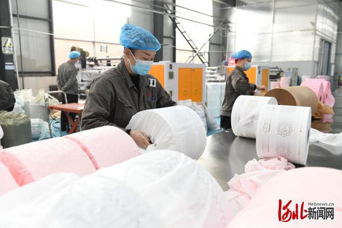 河北节后复工忙 新型膜材料制造产业力争“开门红”